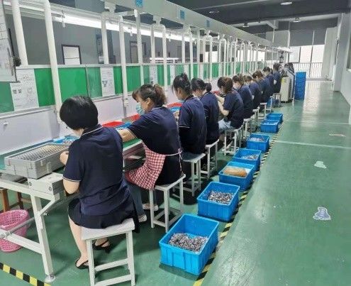 Changzhou Xingmai  Motor Technology Co., Ltd.