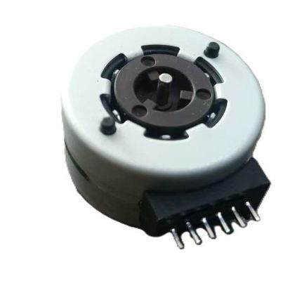 2 Phase Pump Motor 84V Step Angle 15 for Automotive application