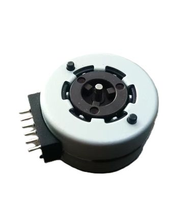 2 Phase Pump Motor 84V Step Angle 15 for Automotive application