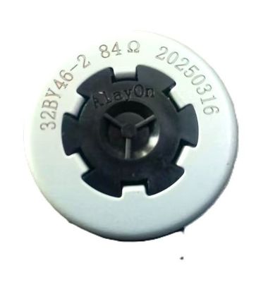 2 Phase Pump Motor 84V Step Angle 15 for Automotive application
